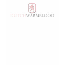 Dutch Warmblood t-shirts