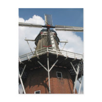 Dutch Windmill Post Card