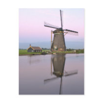 Dutch Windmill Postcard