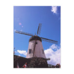 Dutch Windmill, Solvang CA Post Card