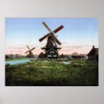 Dutch Windmills Poster