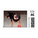 Dutchess  postage