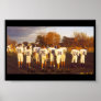 DutchFootball2 Poster