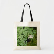 Dutchman's Breeches (Dicentra Cucllaria) fl Bags