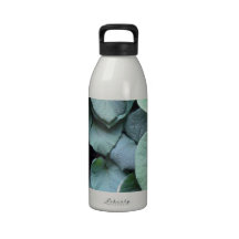 Dutchman's Pipe leaves Drinking Bottles