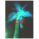 Duval Street t-shirts