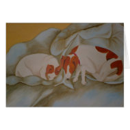 Duvet Dogs card