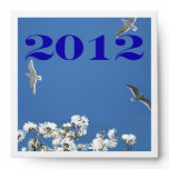 DVD or CD personal memories Envelope DVD or CD personal memories Envelope