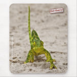 Dwarf Chameleon Mousepad