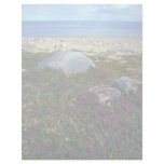Dwarf fireweed, Hudson Bay, NWT, Canada Customized Letterhead