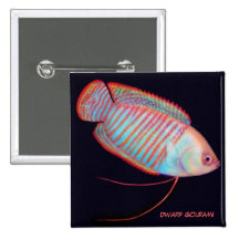 Dwarf Gourami Tropical Fish Pin