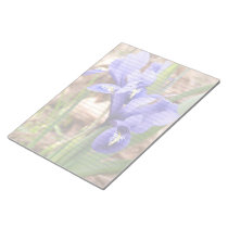 Dwarf Irises Lined or Unlined Notepad notepads