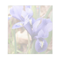 Dwarf Irises Notepad notepads