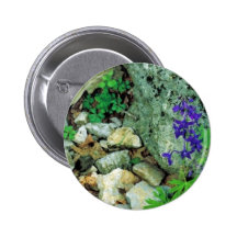 Dwarf Larkspur Buttons