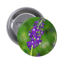 Dwarf Larkspur Pinback Buttons