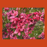 spring, flowers, fruits
