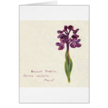 Dwarf Orchis Greeting Cards