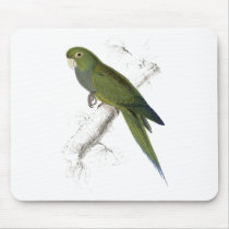 Dwarf Parrakeet-Maccaw by Edward Lear Mouse Pad
