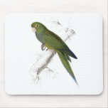Dwarf Parrakeet-Maccaw by Edward Lear Mouse Pad