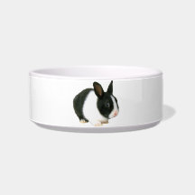 Dwarf Rabbit Bunny Pet Bowl Cat Water Bowl