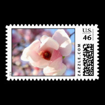 dwight pierre stamps