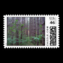dwight pierre stamps