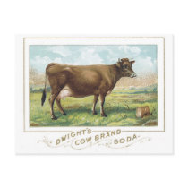 Dwights Cow Brand Soad postcards by vintagegiftmall Dwights Cow Brand Soad postcards