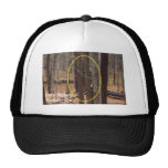 DWS Bigfoot Researchers hat