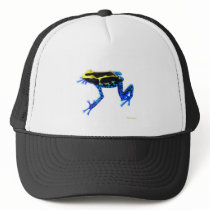 Dyeing Poison Arrow Frog hats