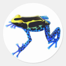 Dyeing Poison Frog Sticker