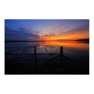 Dying Embers Print print