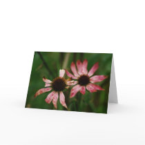 Dying Flowers Greeting Card