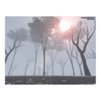 Dying Forest In Fog posters by PicturesfortheBlind Dying Forest In Fog posters