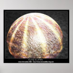 dying planet posters