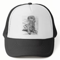 Dylan's Tale ribbon Hats