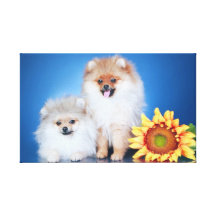 Dynamic Dog 28  Stretched Canvas Print