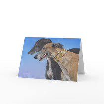 Dynamic Duo Greyhound Whippet Dog Cards