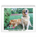 Dynamic Duos II- 2011 Calendar - Sunshine Goldens