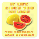 Dyslexia Melons Funny Sticker