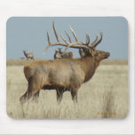 E0004 Bull Elk Mouse Pads