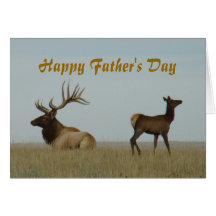 E0005 Bull Elk and Yearling Cards