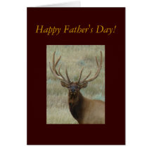 E0010 Bull Elk in Velvet Card