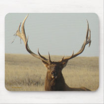 E0013 Bull Elk Mouse Pad