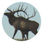 E0014 Bull Elk silhouette stickers