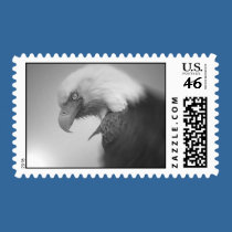 E45-0gbridger stamps