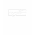 e =f flat t-shirts by ARTYES e =f flat t-shirts