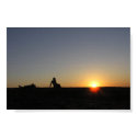 E-rock_Sunset posters