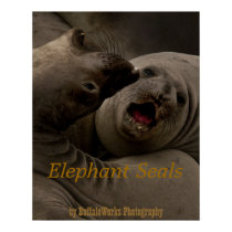 E-Seals Curve Poster posters by buffaloworks E-Seals Curve Poster posters
