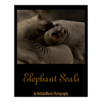 E-Seals Curve Poster posters by buffaloworks E-Seals Curve Poster posters