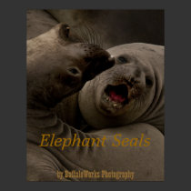E-Seals Curve Poster posters